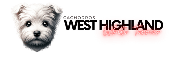 banner cachorros westy
